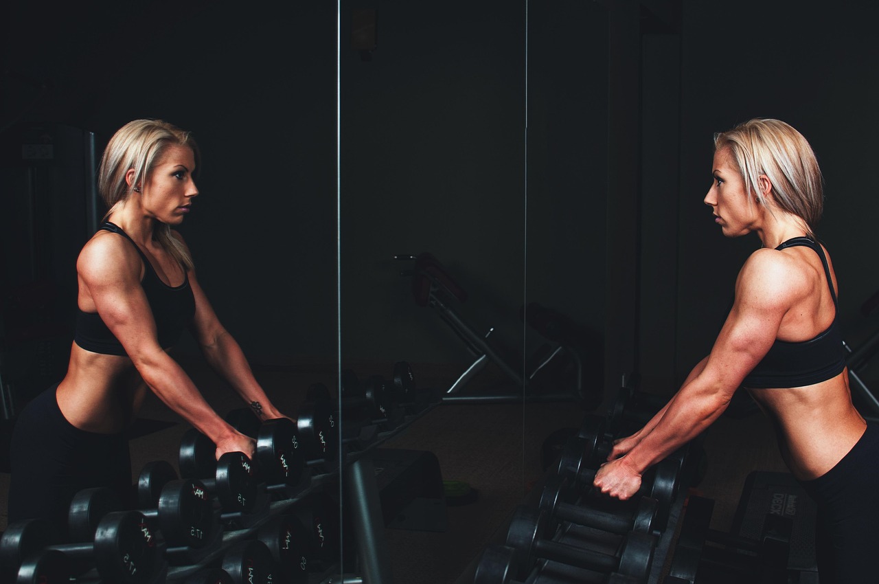 Dinosaurgym Fitness Club collection